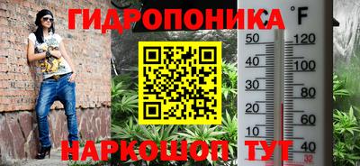 мдпв Ирбит