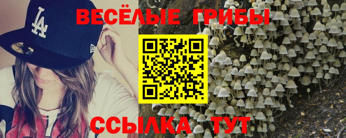 Галлюциногенные грибы MAGIC MUSHROOMS  Вход с VPN  Лениногорск 
