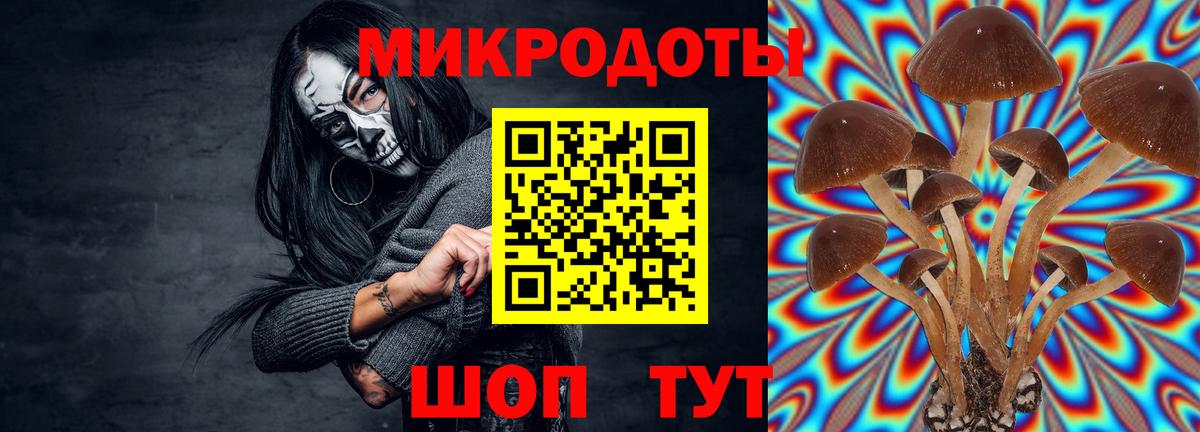Псилоцибиновые грибы Magic Shrooms Лениногорск